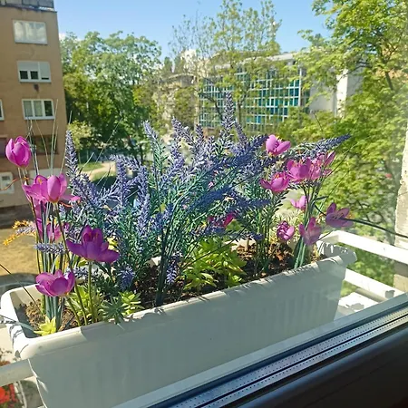 Apartment Amelia Sarajevo